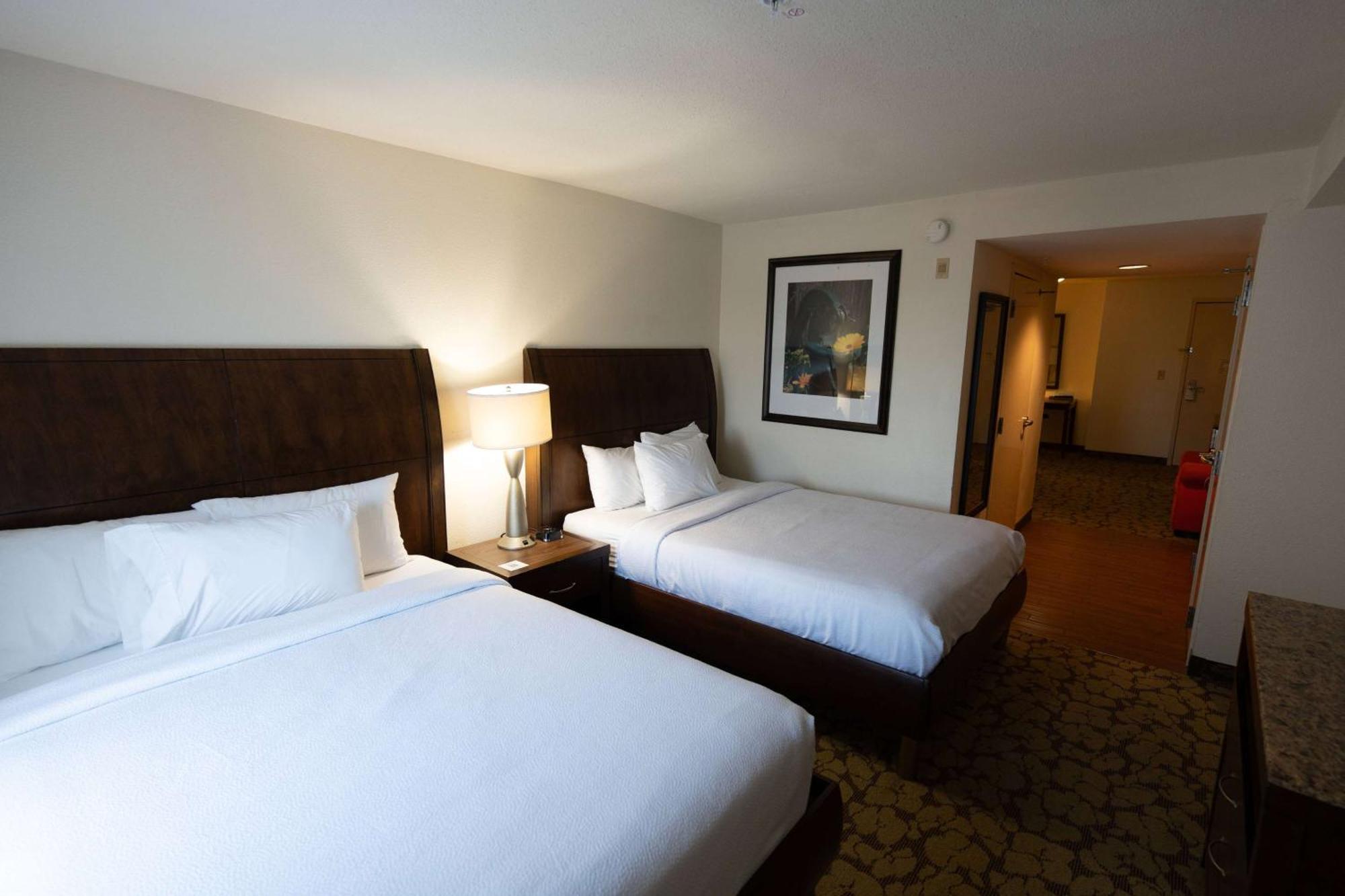 Готель Wyndham Garden New Orleans Airport Кеннер Екстер'єр фото